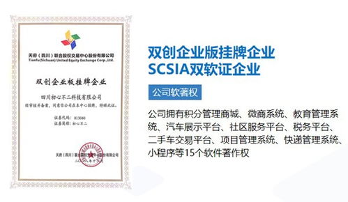 成都專業的軟件開發公司,開發軟件自建團隊還是找外包公司好